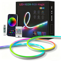 Bande LED Néon RGBIC Intelligente avec Application, Synchronisation Musicale, Effet Cheval Galopant, Vente en Gros Usine