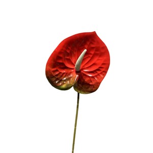 Fleur d'Anthurium Artificielle Secret Garden Rouge Vif en Caoutchouc Souple pour Décoration de Mariage, Accessoire Photo Extérieur, Faite à la Main, Imprimée en 3D - Product Image 1