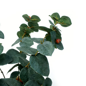 Tiges d'eucalyptus artificielles dans un vase en <span class=keywords><strong>verre</strong></span> noir – Plante artificielle élégante pour la maison, le bureau, la ferme, ou comme centre de table de mariage - Product Image 5