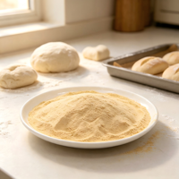 Poudre de levure sèche active en gros, emballage personnalisé par le fabricant pour les distributeurs de boulangeries mondiales