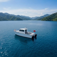 Catamaran à moteur en aluminium à double coque de 32,5 pieds pour 12 personnes, soudé, idéal pour les excursions insulaires et la pêche sportive