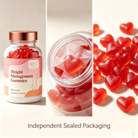 Gummies SYC BIO sans sucre pour la gestion du poids, 60 unités, avec mélatonine et L-théanine, soutien au sommeil, santé quotidienne, naturel