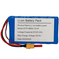Batteries rechargeables au lithium-ion personnalisées 3S2P 7S1P 7S2P, pack de batteries Li-ion 18650 3.7V 7.4V 11.1V 14.8V 18.5V 2200mAh pour Dewalt