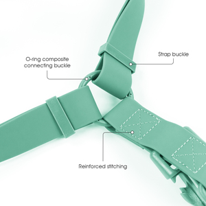 Imbracatura per Cani a Y alla Moda, Comoda e Sicura, in PVC Impermeabile, Design Multi-Fibbia, Facile da Indossare e Togliere Rapidamente - Product Image 3