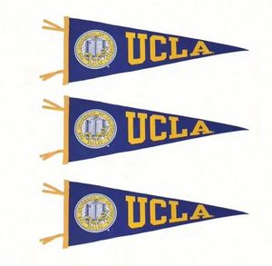 Professional Customizable Digital Printing University Felt Triangle <b>Banners</b> Portable Waterproof Eco-Friendly - Product Image 1