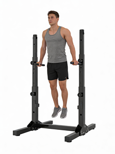 GORDON Station de barres horizontales stable, barre de traction, station de dips pour la musculation à domicile, équipement de force, tour de musculation - Product Image 1