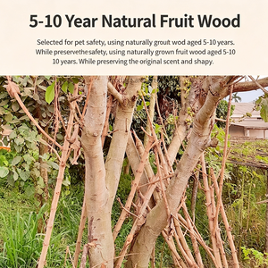 Arbre à chat en bois naturel massif avec structure tressée, nid pour chat intégré au sol, adapté aux chats petits et grands. - Product Image 5