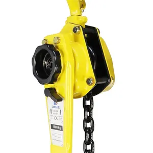 China lever block construction hoist wholesale The most effortless hot selling VA-B-9T