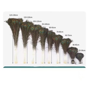 Plumes <span class=keywords><strong>de</strong></span> <span class=keywords><strong>paon</strong></span> naturelles teintes écologiquement pour les décorations <span class=keywords><strong>de</strong></span> mariage et <span class=keywords><strong>de</strong></span> la maison, bouquets et centres <span class=keywords><strong>de</strong></span> table - Product Image 5