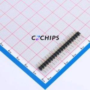 XDZ254C-1-19-Z-3.0-G1 Pin Header Through hole Component (THT),P=2.54mm Connector 1x19P 2.54mm 2.54mm Round Pin - Product Image 1