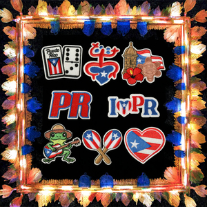 แพทช์รูปกบปักลายเรซิ่นรักษ์โลกธีมเปอร์โตริโก สำหรับติดเสื้อผ้าหรือรีดติด ใช้สำหรับตกแต่งงานเทศกาล - Product Image 3