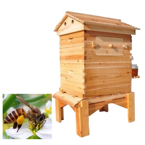 Hot <b>Sale</b> Automatic <b>Beehive</b> Wooden <b>Beehive</b> Box Pine Wood Plastic Frame <b>for</b> Beekeeping Farm Use Competitive Price - Product Image 6