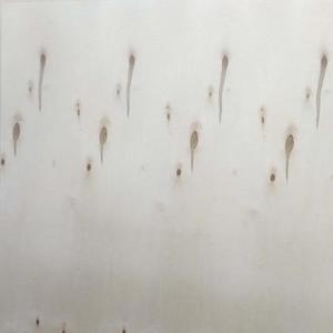 Vente en gros de contreplaqué de bouleau Matériaux en bois de qualité CP/C Feuilles de bois de plusieurs tailles pour stratifié ou placage - Product Image 6