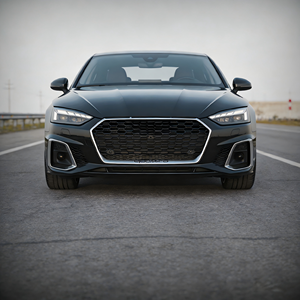 กระจังหน้าพลาสติกดัดแปลง Camaimde สำหรับรถยนต์ Audi A5 S5 RS5 Q5 RSQ5 รุ่นต่างๆ - ชิ้นส่วนดัดแปลง/อัพเกรด กระจังหน้า A5 กรอบสีนิกเกิลเพิร์ล - Product Image 4