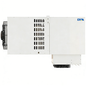 Unidad Monobloque para Cuarto Frío, Congelador Superior para Cuarto Frío, Unidad de Refrigeración Monobloque R290, Unidad Condensadora Inverter para Cuarto Frío - Product Image 6