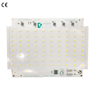 Module LED AC DOB 50W 220V 4000K à haute puissance, PF élevé 0.9, IP20, Ra>80, pour projecteur, garantie 5 ans