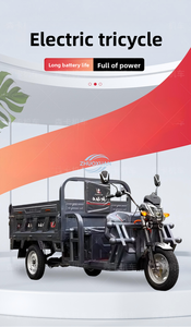 Long Distance Enclosed Electric Trike Heavy Load <b>Passenger</b> Vehicle - Product Image 4