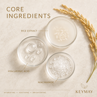 Coffret de Soins Hydratant, Éclaircissant et Apaisant à l'Extrait de Riz, Acide Hyaluronique et Niacinamide – Léger – Marque Privée OEM ODM