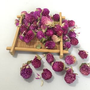 Té de Flores de Amaranto Globo de Alta Calidad, Hermosas Flores Secas Naturales de Amaranto Globo Rojo para Té o Decoración de Bodas - Product Image 3