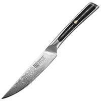 Couteau à steak de qualité supérieure, 5 pouces, 67 couches d'acier Damas, cœur en VG10, lame tranchante, avec manche en G10, pour la cuisine et la restauration