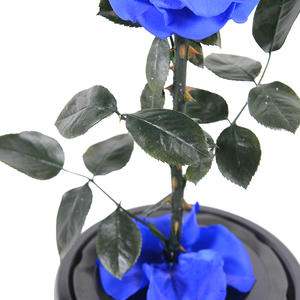 <span class=keywords><strong>PRIX</strong></span> SPÉCIAL OFFRE Fleurs de roses éternelles conservées éternellement Roses dans un dôme en verre Led pour les mères et la Saint-Valentin - Product Image 2