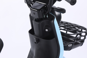 Phổ biến nhất tùy chỉnh mẫu hai chỗ ngồi xe đạp điện 3 tốc độ 48V 20Ah Xe đạp điện - Product Image 4