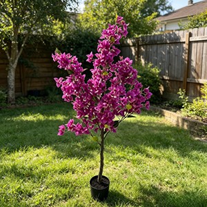 High Quality Real Touch <b>Artificial</b> Silk Bougainvillea <b>Trees</b> Durable <b>Indoor</b> Desktop Plants - Product Image 5