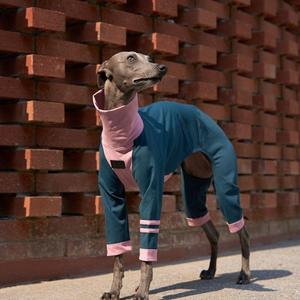 Lujo comodidad algodón perro Onesie sudadera personalizado <span class=keywords><strong>galgo</strong></span> mameluco ropa para mascotas pequeñas medianas grandes lavable a máquina verano - Product Image 1