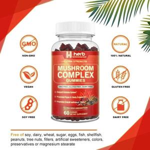 Gummies aux champignons en marque privée OEM/ODM, complexe de 10 champignons pour la concentration, le cerveau et la mémoire - Product Image 6