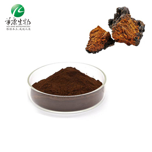 Suministro 30% Polisacáridos Bai <span class=keywords><strong>Hua</strong></span> <span class=keywords><strong>Rong</strong></span> Extracto de hongo Inonotus Obliquus Polvo Extracto de Chaga - Product Image 2