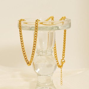 European American Style Stainless Steel Necklace Cuban Chain Chunky Men's Clavicle Chain Gold Business Gift ZN1789G - Product Image 3