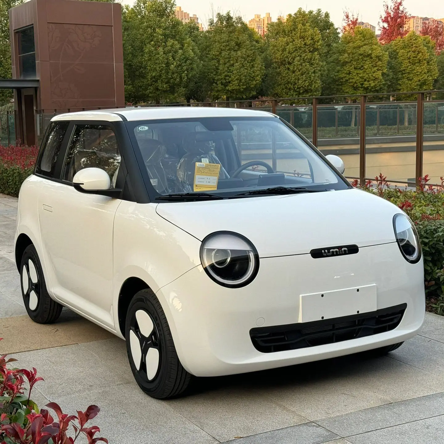 Chongqing Changan New Energy Vehicles Mini Ev Car For Adults Changan Lumins Multi-color New Electric Car For Sale Made In China