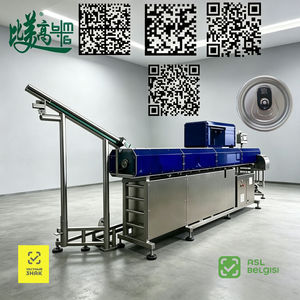 Machine de marquage laser à fibre Chestny Znak GS1 DataMatrix 50W avec système EZCAD pour la traçabilité de la production de canettes de bière (un article, un code) - Product Image 1