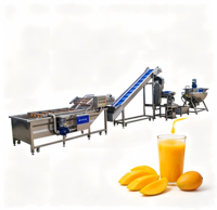 Ligne complète de production de jus de mangue automatique avec système de pulpage en deux étapes et système de pasteurisation à plaques pour l'exportation