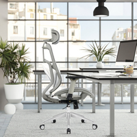 Chaise de bureau exécutive réglable en maille ergonomique avec base pivotante en acier moderne, vérin à gaz certifié classe 3, soutien lombaire réglable pendant 3 ans