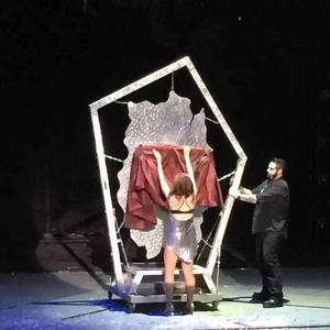 EVOKE MAGICS Équipement Professionnel d'Illusion pour Scène, Traversée <span class=keywords><strong>de</strong></span> Plaque d'Acier, Tours <span class=keywords><strong>de</strong></span> <span class=keywords><strong>Magie</strong></span> Faciles à Vendre - Product Image 6