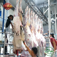 Machine d'abattage de bovins halal, équipement d'abattoir de bœuf, usine d'abattage automatique de taureaux, projet clé en main professionnel