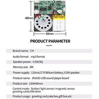 Lecteur MP3 USB rechargeable programmable 8M avec module vocal et mode d'activation par vibration