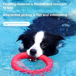 <span class=keywords><strong>2025</strong></span> Mới Thân Thiện Với Môi Tương Tác Kéo-Of-Chiến Tranh Đào Tạo Con Chó Đồ Chơi Vật Nuôi Đồ Chơi Với Cắn Kéo Vòng Nổi Chống Nước Cho Chó - Product Image 2