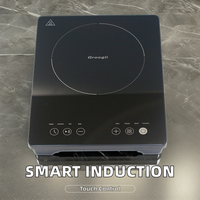 Mini cuisinière à induction portable intelligente, plaque de cuisson électrique à écran tactile pour usage domestique, fabriquée en plastique durable