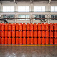 Bouteille de gaz GPL vide neuve GLOBAL CYLINDER 12,5 kg 25 lb avec valve en laiton pour le Honduras, le Guatemala et Haïti
