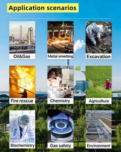 Analyseur de gaz portable haute précision OC-1000 avec imprimante en option pour CO NOx SO2 H2S dans les émissions d'échappement des voitures - Product Image 6
