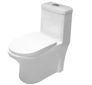 Goodone Human Bathroom Water System Sanitary Ware Chinese Wc 1 Piece Toilet Seat