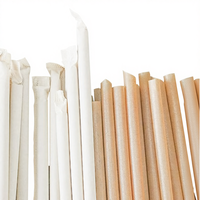 Pailles jetables écologiques 100 % biodégradables en bagasse PHA de BOFA Direct Selling pour les salons de thé, les cafés et les boutiques de desserts