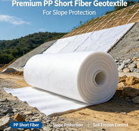 Géotextile en fibres courtes PP de qualité supérieure pour la protection des pentes