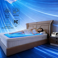Meilleur matelas chauffant électrique domestique à circulation d'eau chaude, système de chauffage et de refroidissement pour lit