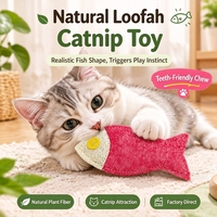 Jouet de luxe pour chats et chiens, en forme de poisson, infusé à la catnip, en loofah naturel, écologique, innovant, anti-ennui, jouet à mâcher sûr pour les soins dentaires