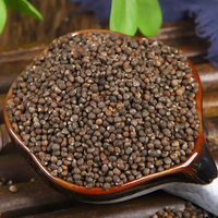 Graines de Perilla Zi Su Zi Séchées, Granulés d'Herbes Chinoises Brutes de Haute Qualité, Compléments Alimentaires et de Santé