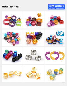 Racing <strong>Pigeon</strong> <strong>Ring</strong> Factory - Product Image 6
