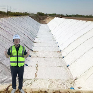 <span class=keywords><strong>Polyester</strong></span> không dệt vải địa kỹ thuật 300g M2 để bảo vệ mái dốc, xây dựng đường bộ, lót đập - Product Image 2